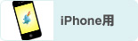iPhone�p