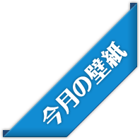 �����̕ǎ�
