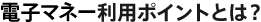 �d�q�}�l�[���p�|�C���g�Ƃ́H