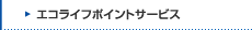 �G�R���C�t�|�C���g�T�[�r�X