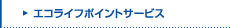 �G�R���C�t�|�C���g�T�[�r�X