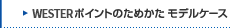 J-WEST�|�C���g�̂��߂��� ���f���P�[�X
