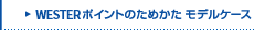 J-WEST�|�C���g�̂��߂��� ���f���P�[�X