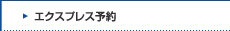 �G�N�X�v���X�\��/EX-IC