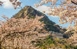 太郎坊宮