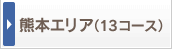 �F�{�G���A�i13�R�[�X�j