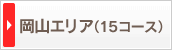 ���R�G���A�i15�R�[�X�j