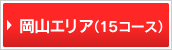 ���R�G���A�i15�R�[�X�j