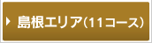 �����G���A�i11�R�[�X�j