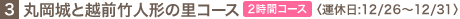 3.�ۉ���Ɖz�O�|�l�`�̗��R�[�X�q�^�x��:12/26�`12/31�r 