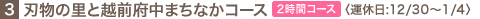 3.�n���̗��Ɖz�O�{���܂��Ȃ��R�[�X�q�^�x��:12/30�`1/4�r 