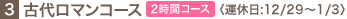 3.�Ñネ�}���R�[�X�q2���ԃR�[�X�r�q�^�x��:12/29�`1/3�r