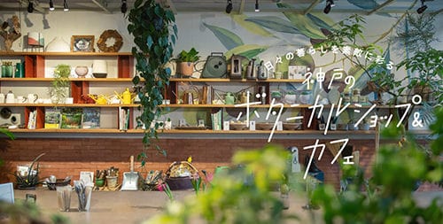 神戸のボタニカルショップ&カフェ♪ 注目の複合施設や多肉植物・ドライフラワーで人気のお店も