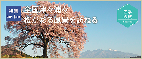 特集2019年1月号 全国津々浦々 桜が彩る風景を訪ねる