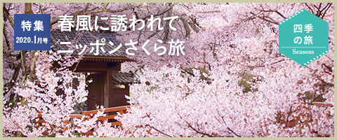 特集2020年1月号 春風に誘われてニッポンさくら旅