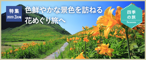 特集2020年3月号 色鮮やかな景色を訪ねる花めぐり旅へ