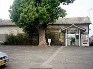 駅舎写真