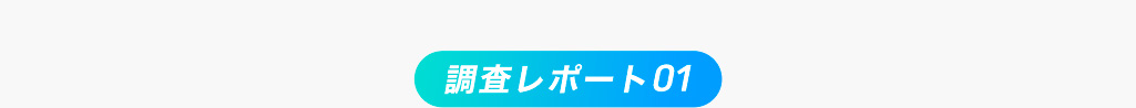 調査レポート01