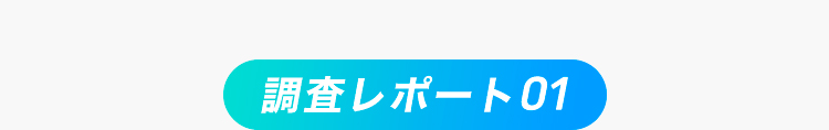 調査レポート01