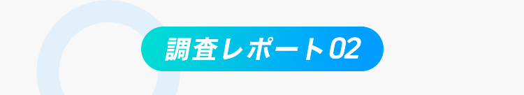 調査レポート02
