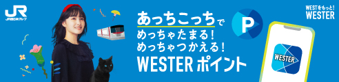 WESTERポイントとは