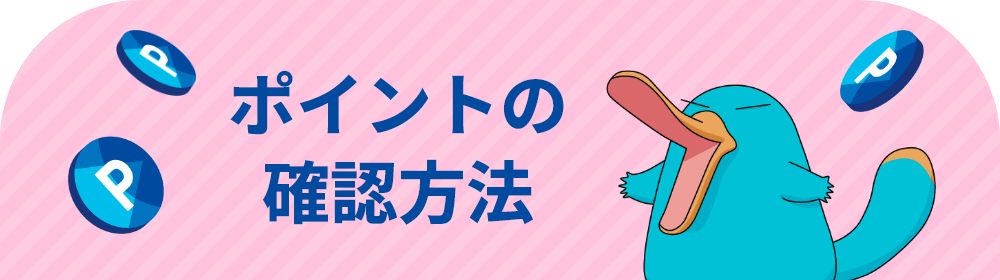 ポイントの確認方法
