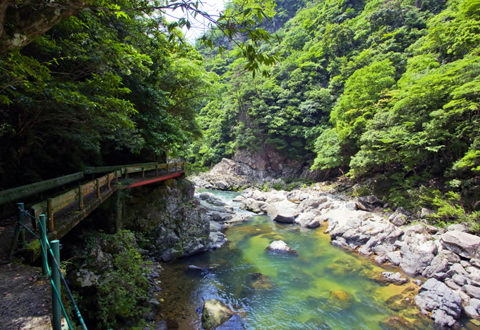 木谷沢渓流(鳥取県)