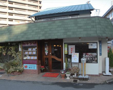 つぼみ