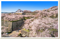 津山城跡（鶴山公園）