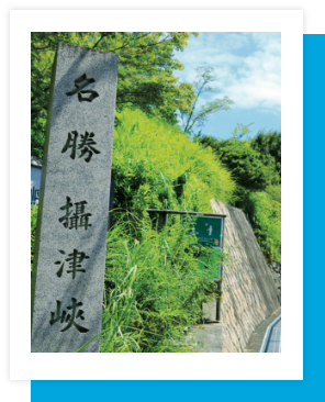 渓谷ハイク。摂津峡