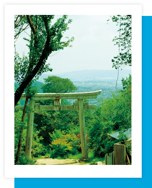 史跡ハイク。天王山
