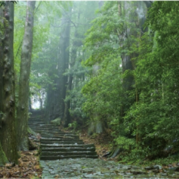 熊野古道