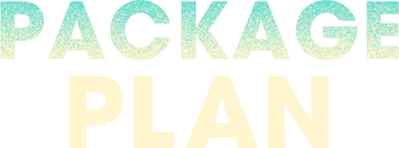 PACKAGE PLAN