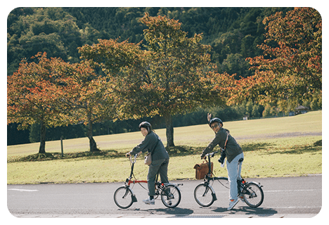 府民の森ひよし
