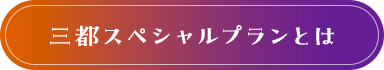 三都スペシャルプランとは