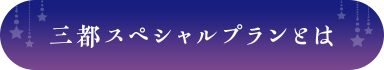 三都スペシャルプランとは