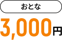 おとな3,000円