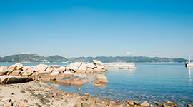 犬島