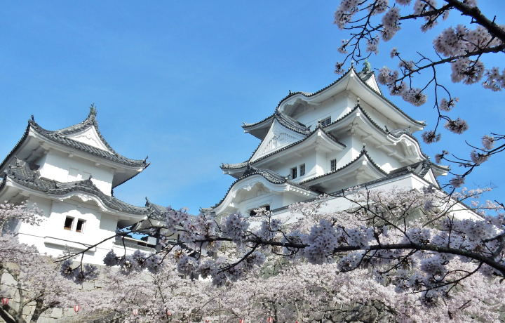 伊賀上野城天守閣