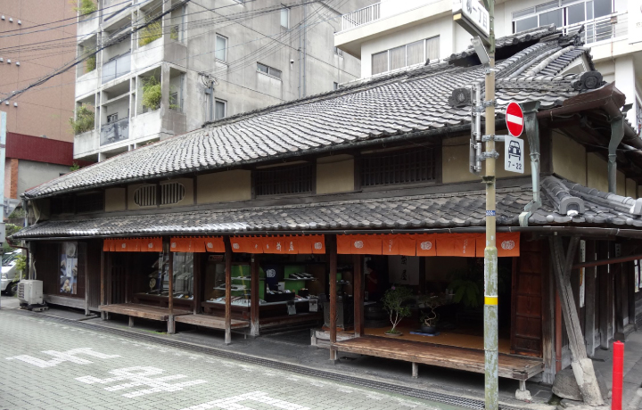 御菓子司　本家菊屋