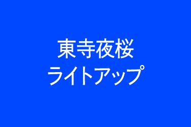 東寺夜桜ライトアップ