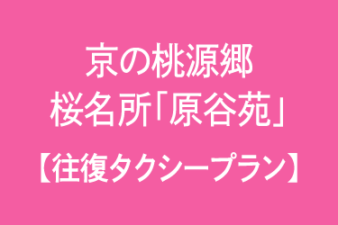 京の桃源郷 桜名所「原谷苑」往復タクシープラン