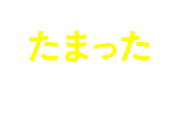 たまったポイントを