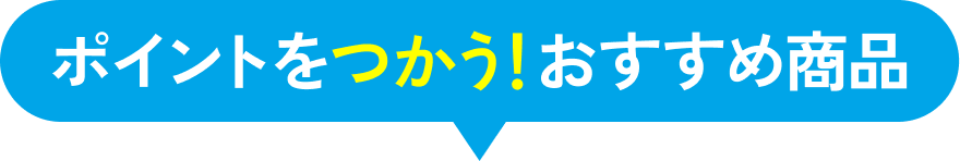 ポイントをつかう！おすすめ商品