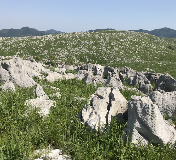 秋吉台(美祢市)