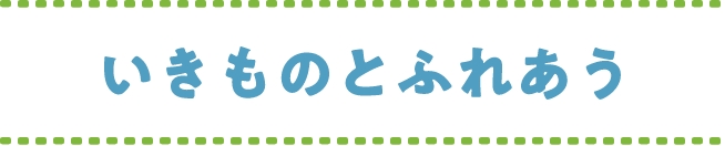 いきものとふれあう