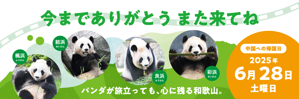 パンダが旅立っても、心に残る和歌山。今までありがとう また来てね
