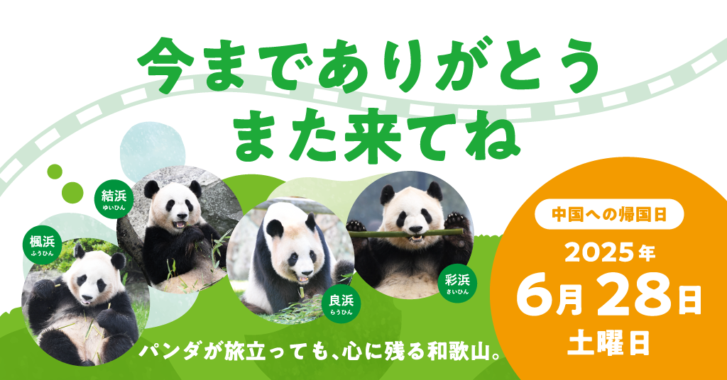 パンダが旅立っても、心に残る和歌山。今までありがとう また来てね