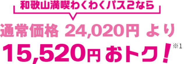和歌山満喫わくわくパス2なら通常価格24,020円より15,520円おトク！※1