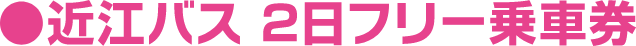 近江バス 2日フリー乗車券